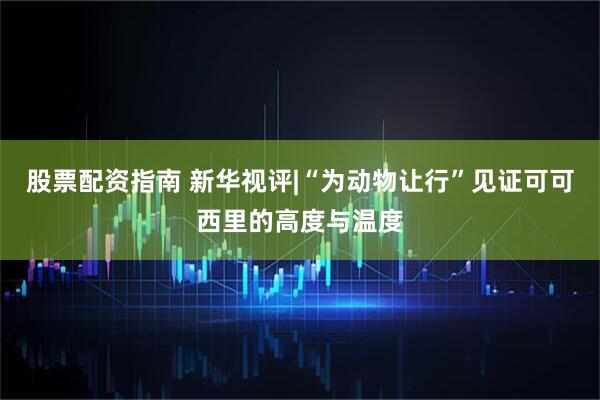 股票配资指南 新华视评|“为动物让行”见证可可西里的高度与温度