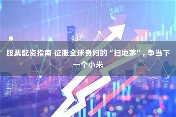 股票配资指南 征服全球贵妇的“扫地茅”, 争当下一个小米