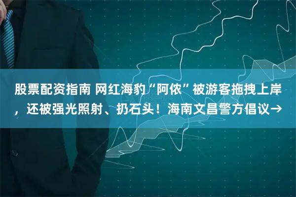 股票配资指南 网红海豹“阿侬”被游客拖拽上岸，还被强光照射、扔石头！海南文昌警方倡议→