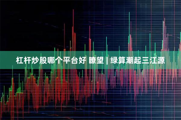 杠杆炒股哪个平台好 瞭望 | 绿算潮起三江源